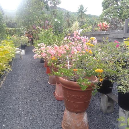 Arorangi Te Moana Nui Villas מראה חיצוני תמונה