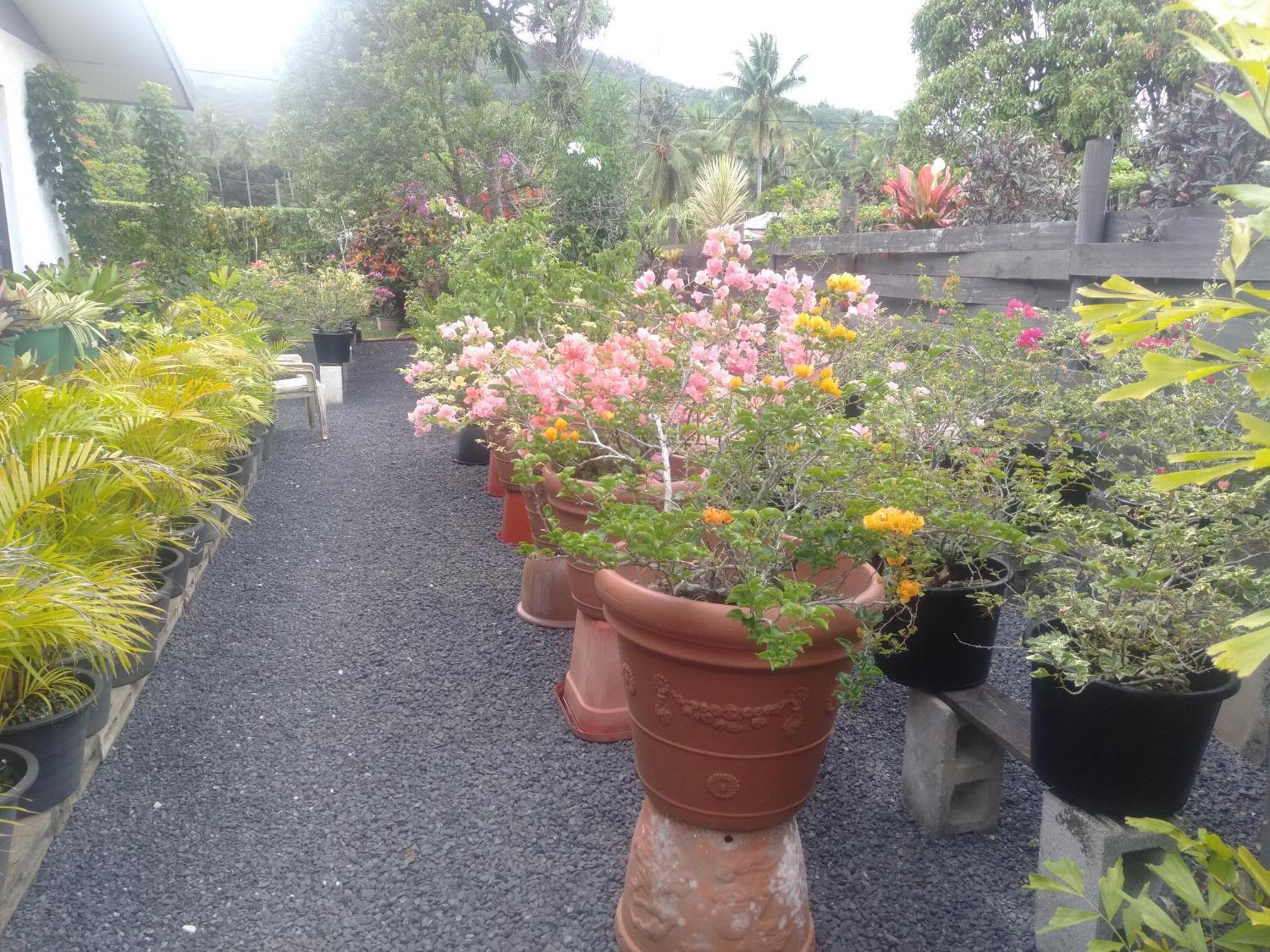 Arorangi Te Moana Nui Villas מראה חיצוני תמונה